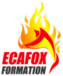 ECAFOX Formation